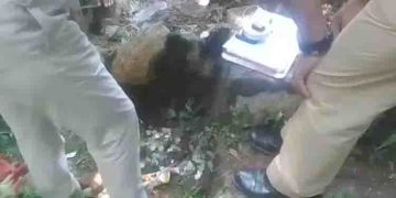 തോട്ടിൽ തേങ്ങ ആണെന്ന് കരുതി നോക്കി, പക്ഷെ നെടുമങ്ങാട് റബ്ബർ തൊഴിലാളി കണ്ടത് നിറയെ ചില്ലറ തുട്ടുകൾ! അന്വേഷണം