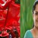 ദിവ്യക്കെതിരെ പാർട്ടി നടപടി ഉടനില്ല, ഇന്നത്തെ കണ്ണൂര് ജില്ലാ സെക്രട്ടറിയേറ്റിൽ വിഷയം ചർച്ചയായില്ല