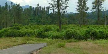 വയനാട്ടിൽ ടൗൺഷിപ്പ് രണ്ടിടത്ത് പരിഗണനയിൽ; പരിസ്ഥിതി വകുപ്പിന്‍റെ അനുമതി വേണം, ഗുണഭോക്താക്കളുടെ പട്ടിക ഉടൻ