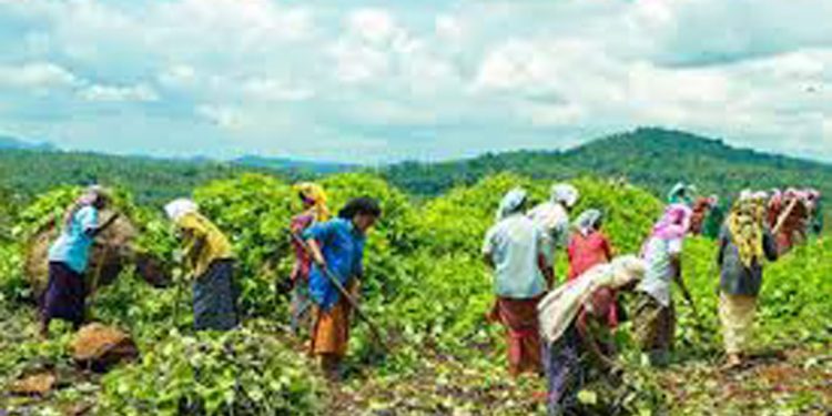മഹാത്മാഗാന്ധി ദേശീയ ഗ്രാമീണ തൊഴിലുറപ്പ് പദ്ധതി ഗുരുതര വെല്ലുവിളി നേരിടുന്നതായി റിപ്പോര്‍ട്ട്