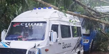 കോഴിക്കോട് ബസിനും ട്രാവലറിനും മുകളിലേക്ക് മരം പൊട്ടി വീണു