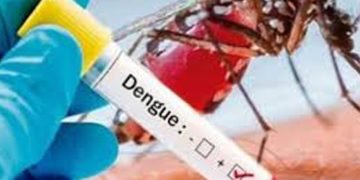 കൊച്ചിയില്‍  വിദേശി ഡെങ്കിപ്പനി ബാധിച്ച് മരിച്ചു