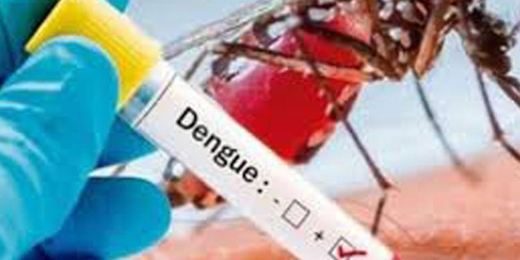 കൊച്ചിയില്‍  വിദേശി ഡെങ്കിപ്പനി ബാധിച്ച് മരിച്ചു