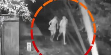 കേരളത്തില്‍ വീണ്ടും ചര്‍ച്ചയായി കുറുവ സംഘം