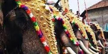 ആന എഴുന്നള്ളിപ്പില്‍ കര്‍ശന നിയന്ത്രണങ്ങള്‍ക്ക് ശുപാര്‍ശ ചെയ്ത് അമിക്കസ് ക്യൂറി റിപ്പോര്‍ട്ട്