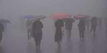 സംസ്ഥാനത്ത് മൂന്ന് ജില്ലകളിൽ യെല്ലോ അലർട്ട് പ്രഖ്യാപിച്ച് കേന്ദ്ര കാലാവസ്ഥാ വകുപ്പ്