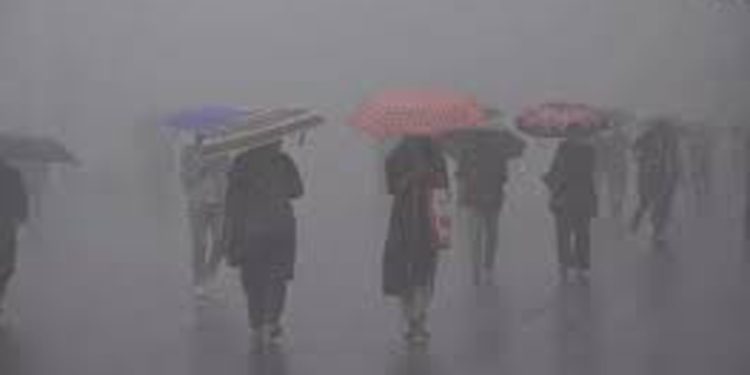 സംസ്ഥാനത്ത് മൂന്ന് ജില്ലകളിൽ യെല്ലോ അലർട്ട് പ്രഖ്യാപിച്ച് കേന്ദ്ര കാലാവസ്ഥാ വകുപ്പ്