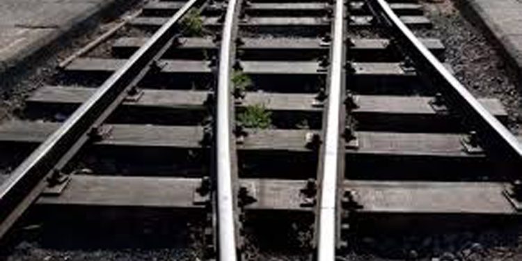 ഷൊർണൂർ പാലത്തിൽ ട്രെയിൻ തട്ടി രണ്ട് സ്ത്രീകളുൾപ്പെടെ നാല് പേർ മരിച്ചു