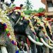 തൃപ്പൂണിത്തുറ പൂര്ണ്ണത്രയീശ ക്ഷേത്രത്തിലെ ആന എഴുന്നള്ളിപ്പില് കേസെടുത്ത് വനം വകുപ്പ്