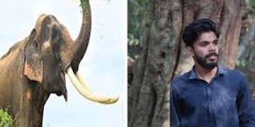 മുള്ളരിങ്ങാട് കാട്ടാന ആക്രമണത്തിൽ മരിച്ച അമർ ഇലാഹിയുടെ ഖബറടക്കം പൂർത്തിയായി