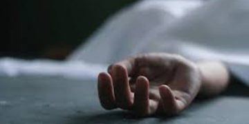 പാലക്കാട് വല്ലപ്പുഴയിൽ അമ്മയും മകനും മരിച്ച നിലയിൽ