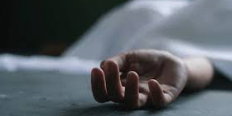 പാലക്കാട് വല്ലപ്പുഴയിൽ അമ്മയും മകനും മരിച്ച നിലയിൽ