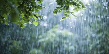 ഡിസംബർ 12 മുതൽ സംസ്ഥാനത്ത് മഴയ്ക്ക് സാധ്യത