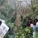 പുല്ലുപാറ അപകടത്തിൽ കെഎസ്ആർടിസി ബസിന് ബ്രേക്ക് തകരാർ ഇല്ലെന്ന് മോട്ടോർ വാഹനവകുപ്പ്
