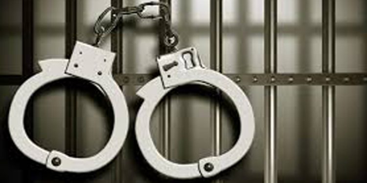 കോരഞ്ചിറ അടുക്കളക്കുളമ്പില്‍ വീട്ടമ്മയുടെ മുഖത്ത് മുളകുപൊടിയെറിഞ്ഞ് സ്വര്‍ണമാല കവര്‍ന്ന സംഭവത്തില്‍ പ്രതി അറസ്റ്റില്‍