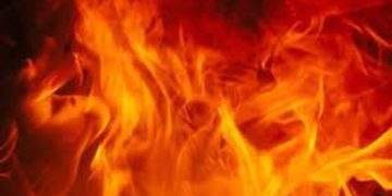 ഇടുക്കി വണ്ടിപ്പെരിയാറില്‍ വന്‍തീപിടുത്തം