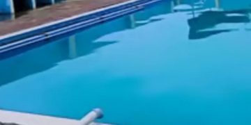 എറണാകുളം തൃക്കാക്കരയിൽ പ്ലസ് വണ്‍ വിദ്യാര്‍ഥിയെ ഫ്ലാറ്റിലെ സ്വിമ്മിങ് പൂളില്‍ മരിച്ച നിലയില്‍ കണ്ടെത്തി