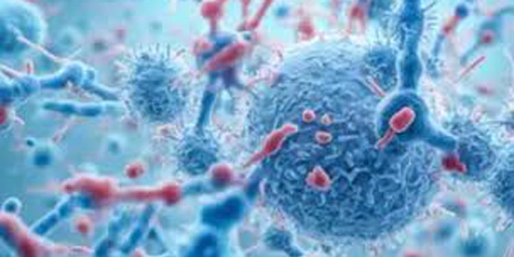 രാജ്യത്ത് എച്ച്എംപിവി സ്ഥിരീകരിച്ചതിനെ തുടർന്ന് സാഹചര്യം നിരീക്ഷിച്ചുവരികയാണെന്നും കേന്ദ്ര ആരോഗ്യമന്ത്രാലയം