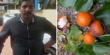 കാഞ്ഞിരക്കായ കഴിച്ച് യുവാവ് മരിച്ച സംഭവം ; അസ്വാഭാവിക മരണത്തിന് കേസെടുത്തു