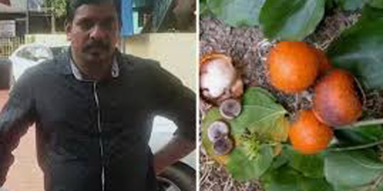 കാഞ്ഞിരക്കായ കഴിച്ച് യുവാവ് മരിച്ച സംഭവം ; അസ്വാഭാവിക മരണത്തിന് കേസെടുത്തു