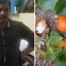 കാഞ്ഞിരക്കായ കഴിച്ച് യുവാവ് മരിച്ച സംഭവം ; അസ്വാഭാവിക മരണത്തിന് കേസെടുത്തു