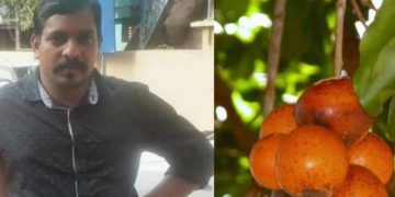 പാലക്കാട് പരദൂർ കുളമുക്കിൽ ആചാരത്തിന്റെ ഭാഗമായി കാഞ്ഞിരക്കായ കഴിച്ച യുവാവ് മരിച്ചു