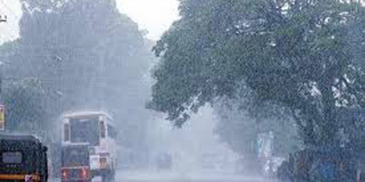 സംസ്ഥാനത്ത് ഇന്ന് ശക്തമായ മഴയ്ക്ക് സാധ്യത