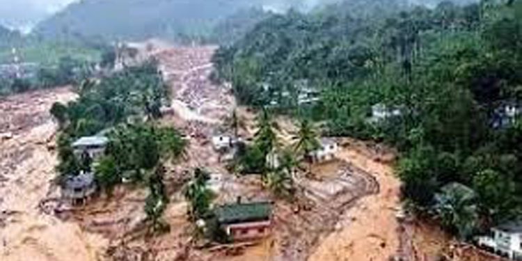 വയനാട് പുനരധിവാസത്തിന് 529.50 കോടി സഹായം അനുവദിച്ച് കേന്ദ്രം