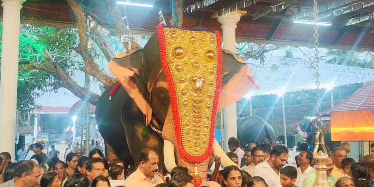 വോയ്സ് ഫോർ എലിഫന്റ്സ് റോബോട്ടിക് ആനയെ പുറത്തിറക്കി