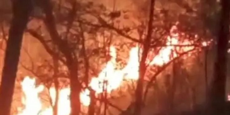 കോഴിക്കോട് വിലങ്ങാട് വനഭൂമിയിൽ ഉണ്ടായ കാട്ടുതീ നിയന്ത്രണ വിധേയമായി.