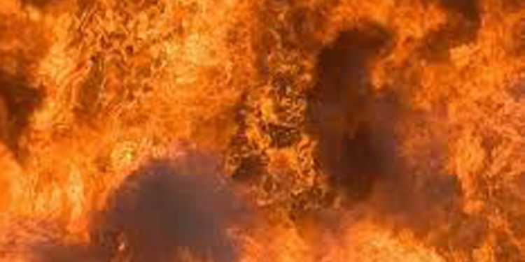 പാലക്കാട് നല്ലേപ്പിള്ളിയിൽ വൻ തീപിടുത്തം