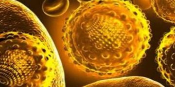 കാലിക്കറ്റ് സർവകലാശാല ലേഡീസ് ഹോസ്റ്റലിൽ മഞ്ഞപ്പിത്തം പടരുന്നു