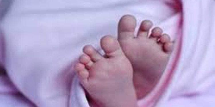 പൂപ്പാറയിൽ 45 ദിവസം പ്രായമുള്ള കുട്ടി മരിച്ചു