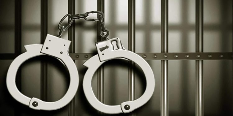 കോഴിക്കോട് കഞ്ചാവ് മൊത്ത വിതരണക്കാരെ പിടികൂടി