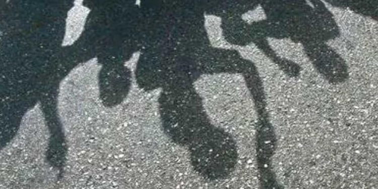 ആലപ്പുഴ ബീച്ചിൽ യുവാവിനെ ആറംഗ സംഘം അടിച്ച് വീഴ്ത്തി