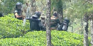 ഇടുക്കി ഗ്രാമ്പിയിൽ മയക്കുവെടി വെച്ച കടുവ ചത്തു