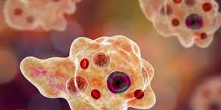 കളമശ്ശേരിയിൽ അഞ്ച് കുട്ടികൾക്ക് സെറിബ്രൽ മെനഞ്ചൈറ്റിസ് ബാധ