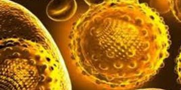 പാലക്കാട് ഗൃഹപ്രവേശന ചടങ്ങിൽ പങ്കെടുത്ത് ഭക്ഷണം കഴിച്ചവർക്ക് മഞ്ഞപ്പിത്തം