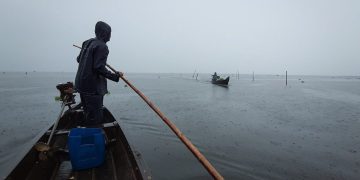 വേമ്പനാട്ട് കായലിൽ മീൻ പിടിക്കുന്നതിനിടെ കുഴഞ്ഞുവീണ മത്സ്യത്തൊഴിലാളിയെ കാണാതായി