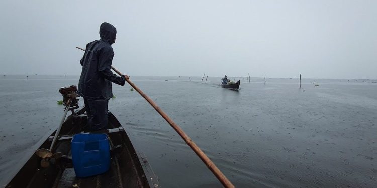 വേമ്പനാട്ട് കായലിൽ മീൻ പിടിക്കുന്നതിനിടെ കുഴഞ്ഞുവീണ മത്സ്യത്തൊഴിലാളിയെ കാണാതായി
