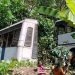 നേര്യമംഗലത്ത് കെഎസ്ആർടിസി അപകടം ; 14 വയസ്സുകാരിക്ക് ദാരുണാന്ത്യം