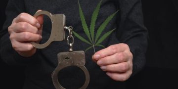 കോ​ഴി​ക്കോ​ട്ട് ക​ഞ്ചാ​വ് ക​ല​ർ​ത്തി​യ ചോ​ക്ലേ​റ്റു​മാ​യി ഡ​ൽ​ഹി സ്വ​ദേ​ശി പി​ടി​യി​ൽ