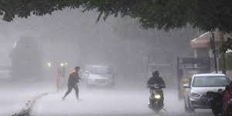 സംസ്ഥാനത്ത് ഒറ്റപ്പെട്ട ശക്തമായ മഴയ്ക്ക് സാധ്യത ; നാല് ജില്ലകളിൽ യെല്ലോ അലർട്ട്