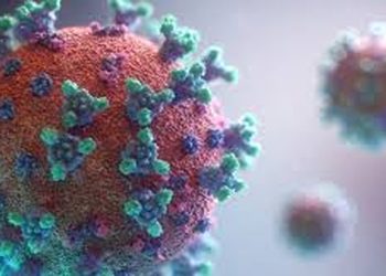 സംസ്ഥാനത്ത്  കൊവിഡ് കേസുകൾ ആയിരം കടന്നു