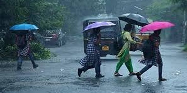 ശക്തമായ മഴയിൽ വടക്കൻ കേരളത്തിൽ വ്യാപക നാശനഷ്ടം