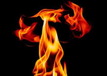 ബോബി ചെമ്മണ്ണൂരിൻ്റെ ഉടമസ്ഥതയിലുള്ള ആയിരം ഏക്കറിൽ തീപിടുത്തം