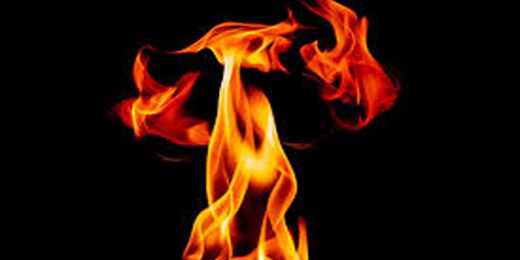 ബോബി ചെമ്മണ്ണൂരിൻ്റെ ഉടമസ്ഥതയിലുള്ള ആയിരം ഏക്കറിൽ തീപിടുത്തം