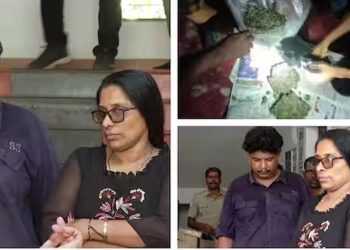 ഹൈബ്രിഡ് കഞ്ചാവ് കേസിൽ തസ്ലീമ സുൽത്താനയെ ഒന്നാം പ്രതിയാക്കി ഇന്ന് കുറ്റപത്രം സമർപ്പിക്കും