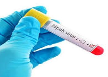 കേരളത്തിൽ വീണ്ടും നിപ ബാധ സ്ഥിരീകരിച്ചു