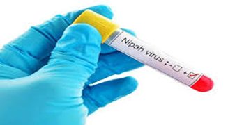 കേരളത്തിൽ വീണ്ടും നിപ ബാധ സ്ഥിരീകരിച്ചു